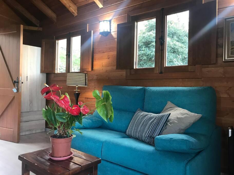 Cozy Mountain Chalet La Orotava Buitenkant foto